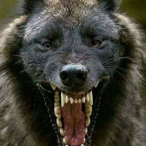 Meet your Posher, Keith p